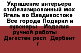 Украшение интерьера стабилизированный мох Ягель во Владивостоке - Все города Подарки и сувениры » Изделия ручной работы   . Дагестан респ.,Дербент г.